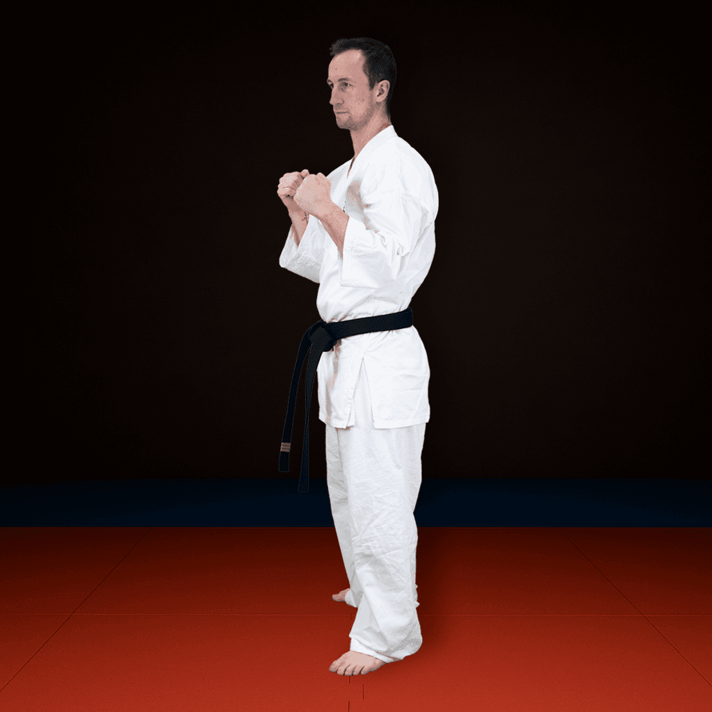 Karategi Adult Basic