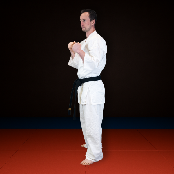 Karategi Adult Basic